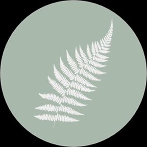 Meet your Posher, Fern